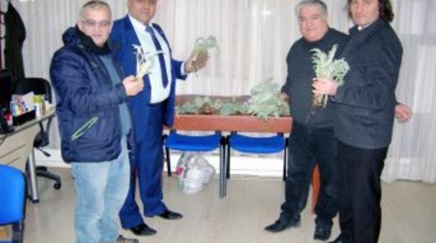 Osmanlı Saraylarının Vazge&ccedil;ilmesi Mudanya Enginarı Yaygınlaşıyor
