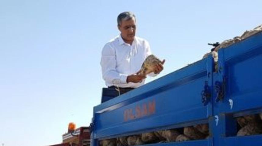 Konya Şeker&rsquo;de Pancar &Ouml;demeleri Başlıyor