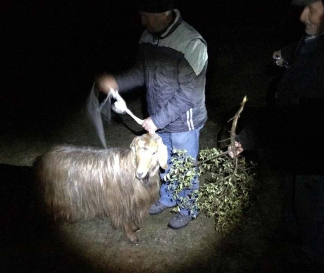 20 G&uuml;nd&uuml;r Kayalıklarda Mahsur Kalan Ke&ccedil;iyi Akut Kurtardı
