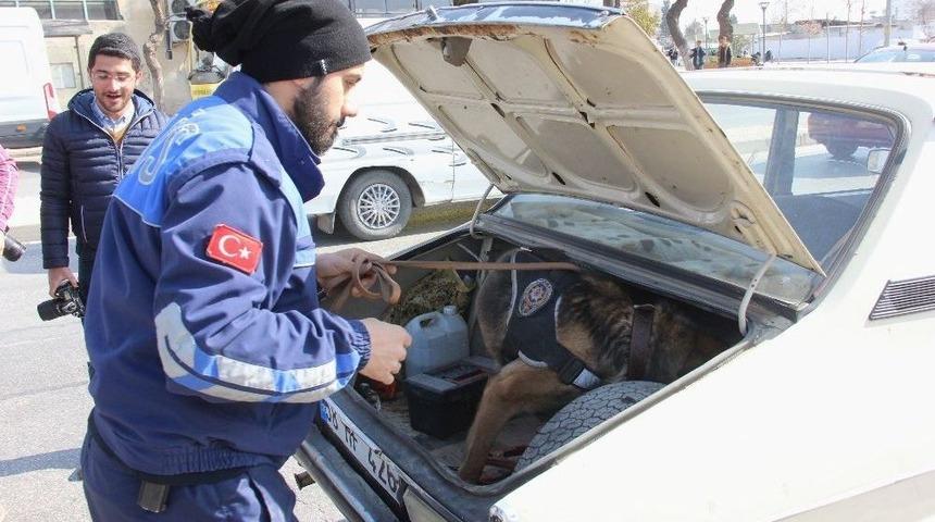 Narkotik Ekipleri Okul &Ouml;nlerinde Denetim Yaptı