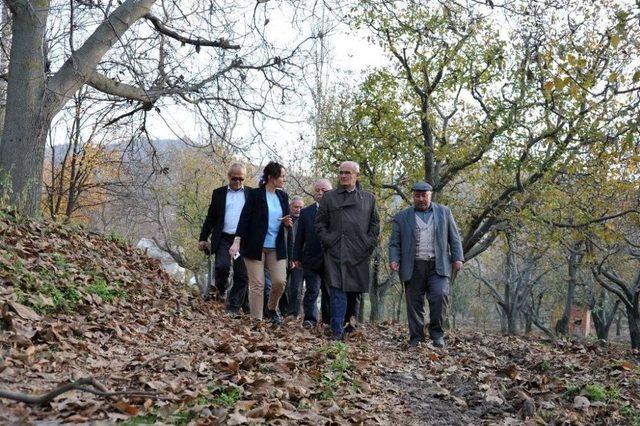 Kurtuluş Yolu Projesi Olgunlaşıyor