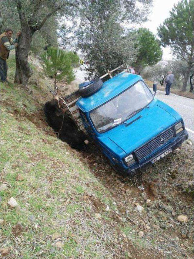 Trafik Kazasında Sıkışan İneği İtfaiye Kurtardı