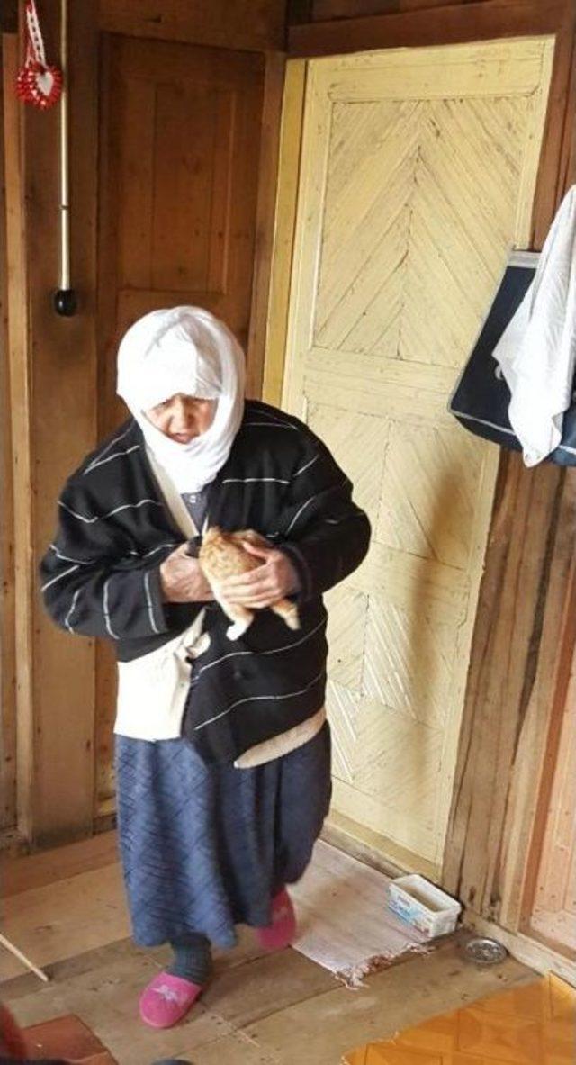 Yaralı Kedi Için Karlı Yolları Aştılar