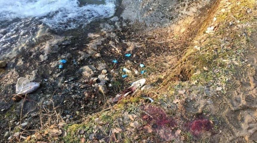 Taksici Cinayet Sanığı Hakim Karşısında