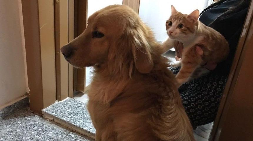 Pascal Ve P&uuml;sk&uuml;l&rsquo;&uuml;n Şaşırtan Dostluğu