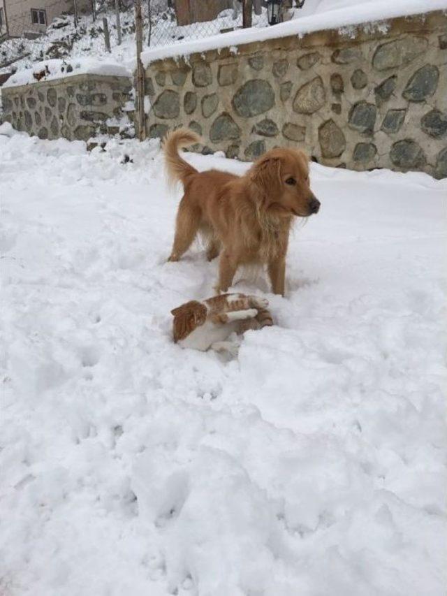 Pascal Ve P&uuml;sk&uuml;l&rsquo;&uuml;n Şaşırtan Dostluğu 1