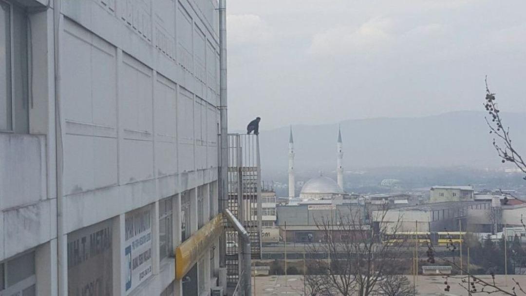 Yangın Merdiveninde Facia Teğet Ge&ccedil;ti