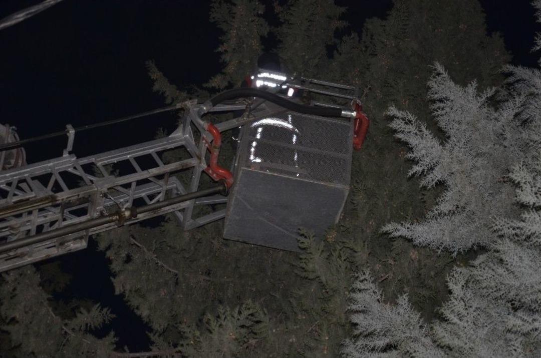 Kediyi Kurtarmak İ&ccedil;in Şehrin Elektrikleri Kesildi