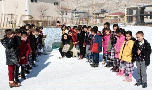 Öğrenciler Içtikleri Okul Sütü Kutularından Köpek Kulübesi Yaptı