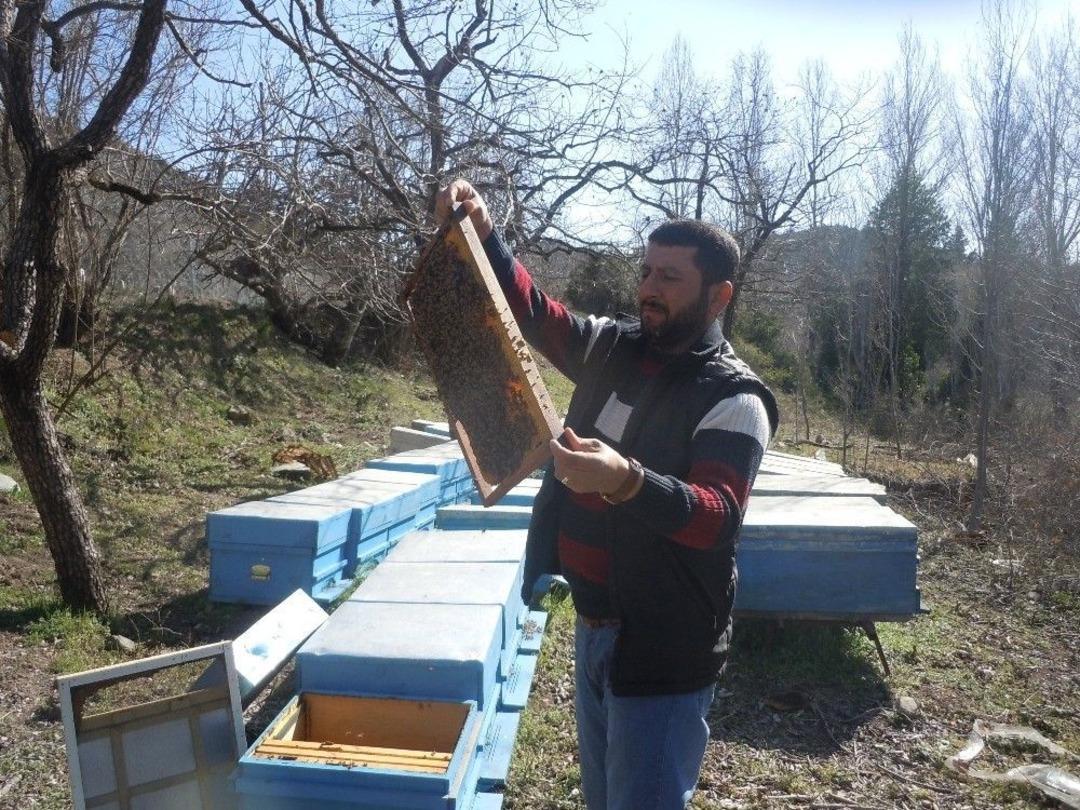Yayladağı&rsquo;nda Arıcılık Yapan Suriyeli Muhammed&rsquo;den Gen&ccedil;lere "bal Gibi İş" Tavsiyesi