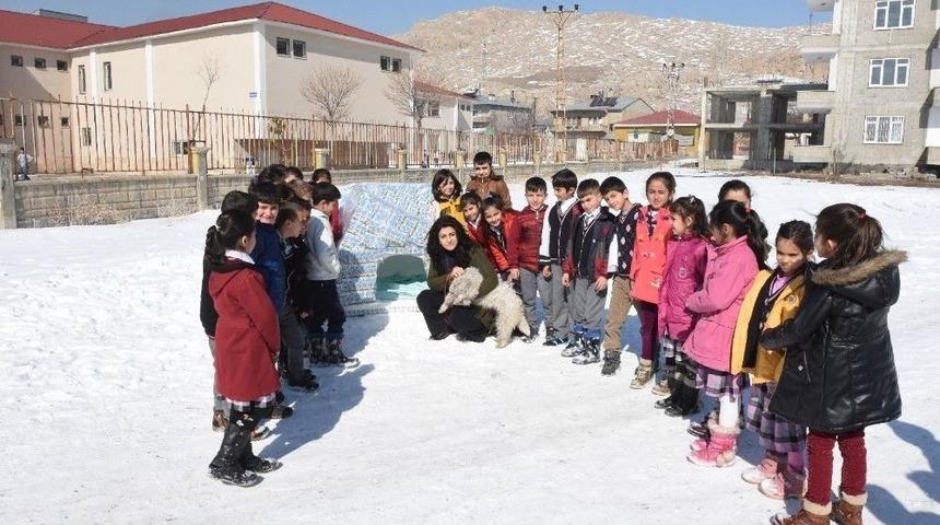 Bin 100 S&uuml;t Kutusundan K&ouml;pek Kul&uuml;besi