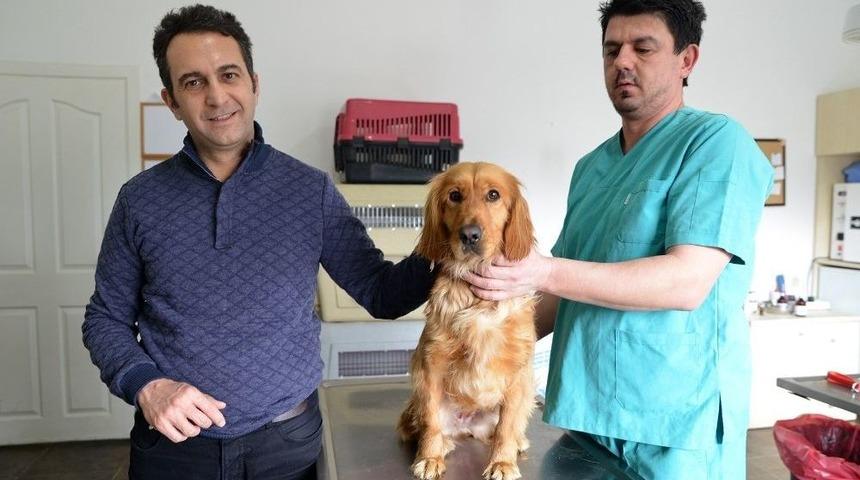 Doğal Yaşam Merkezi Başarılı Bir Yıl Geçirdi