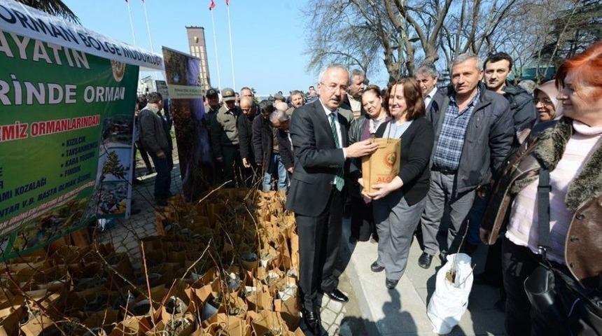 350 Bin Adet Fidan &Uuml;cretsiz Dağıtıldı