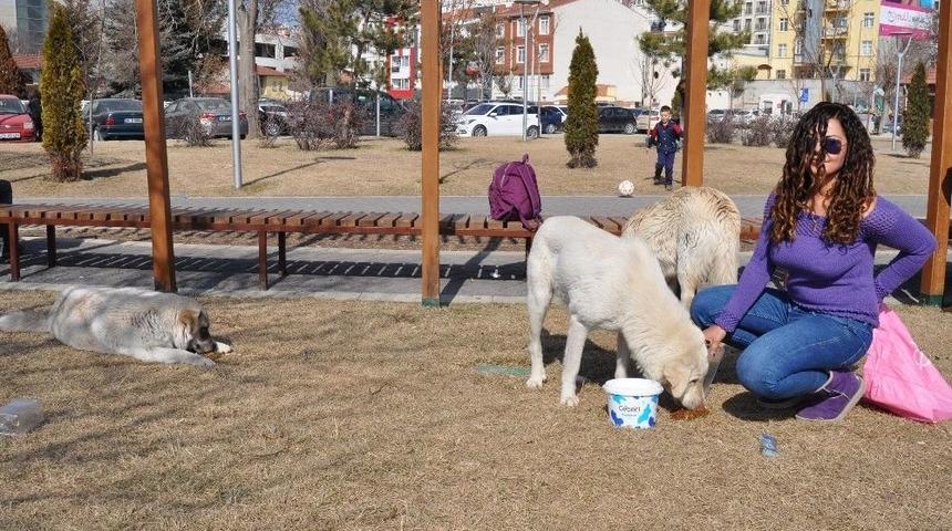 Hollandalı Gen&ccedil; Kızın &Ouml;rnek Davranışı