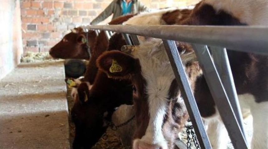 Kadın &Ccedil;ift&ccedil;ilere Hibe D&uuml;ve