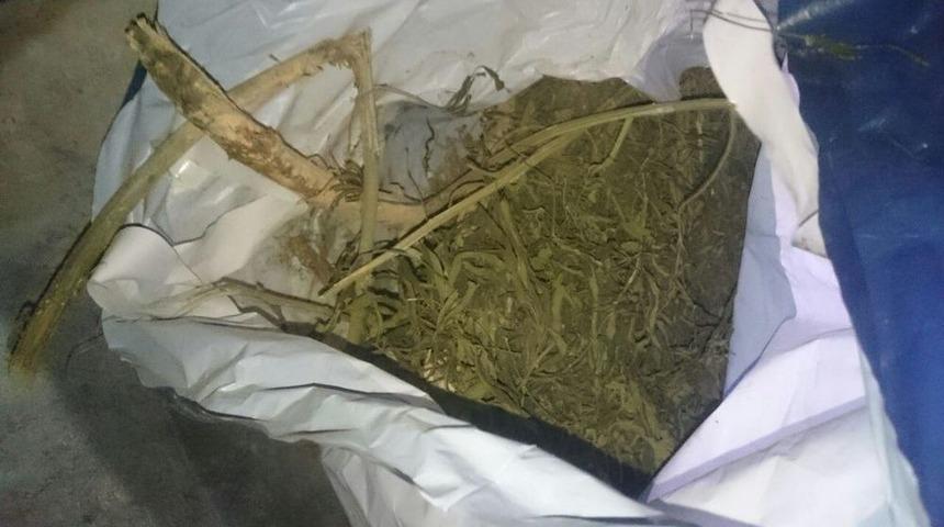 Malatya&rsquo;da Uyuşturucu Operasyonu: 8 Tutuklama