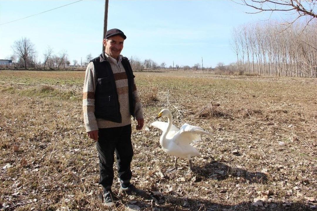 Bir &rsquo;garip&rsquo; Dostluk Hikayesi