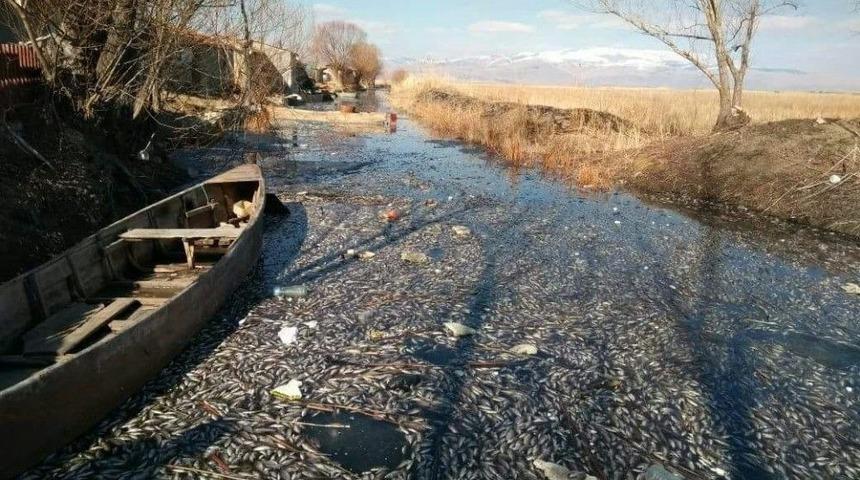 Eber G&ouml;l&uuml;&rsquo;nde Yaşanan Toplu Balık &Ouml;l&uuml;mleri