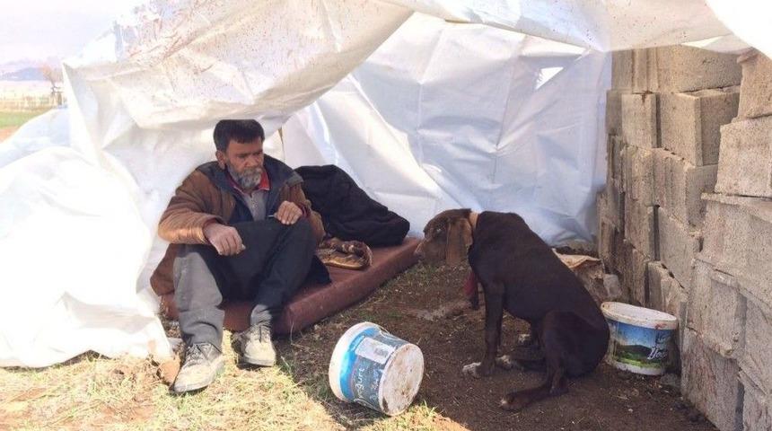 Kış G&uuml;n&uuml; K&ouml;pekleriyle Dışarıda Yaşıyor