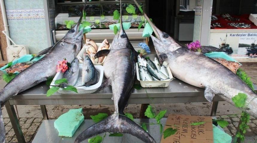 Denizden 3 &rsquo;dev Bereket&rsquo; &Ccedil;ıktı