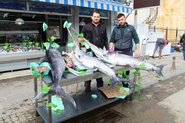 Denizden 3 ’dev Bereket’ Çıktı