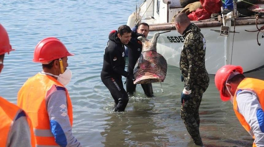 Bodrum&rsquo;da Deniz Dibi Temizliği G&uuml;mbet&rsquo;te Devam Etti