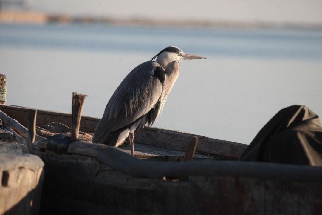 Adana&rsquo;nın Bilinmeyen Manzaraları