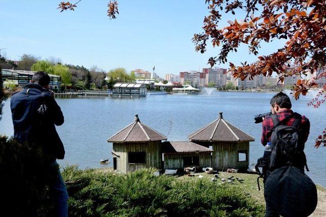 Ankara&rsquo;nın Parkları Sergileniyor 2
