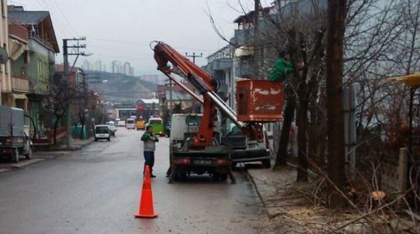 İzmit&rsquo;te Ağa&ccedil;lar Budanıyor