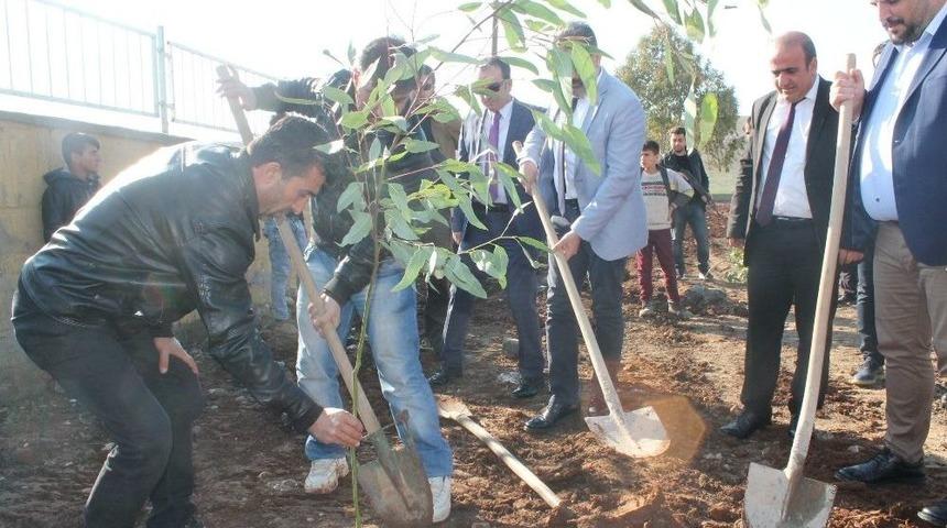 Silopi&rsquo;de K&ouml;y Okulunda Ağa&ccedil; Dikme Etkinliği