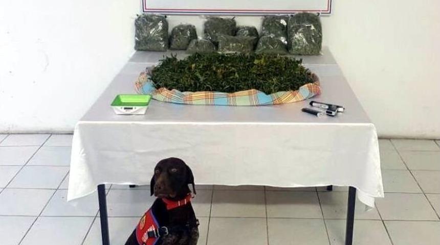 Yalova&rsquo;da "skunk" Adlı Yeni Nesil Uyuşturucu Ele Ge&ccedil;irildi