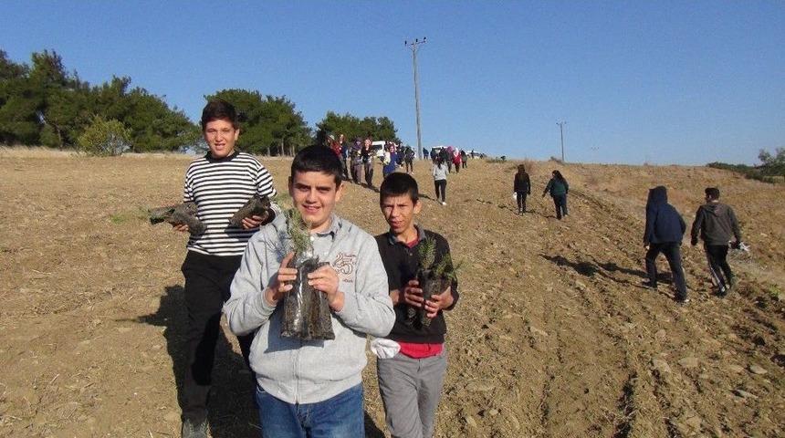 Yangında K&uuml;l Olan Ormana &Ouml;ğrenciler 2 Bin Fidan Dikti