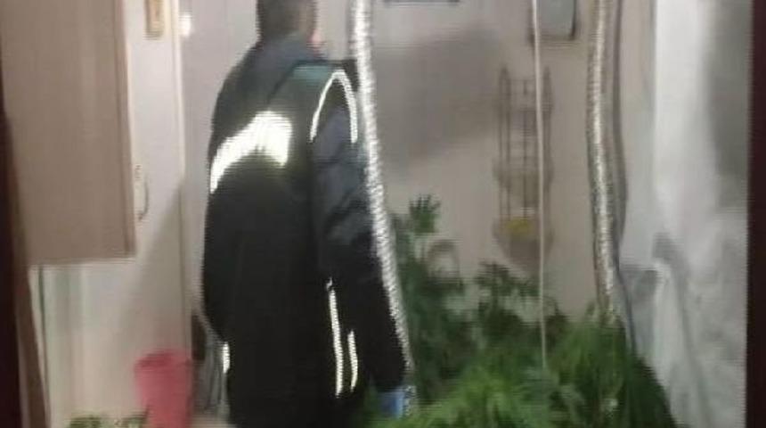 K&uuml;vette Hint Keneviri Yetiştirilen Eve Baskın