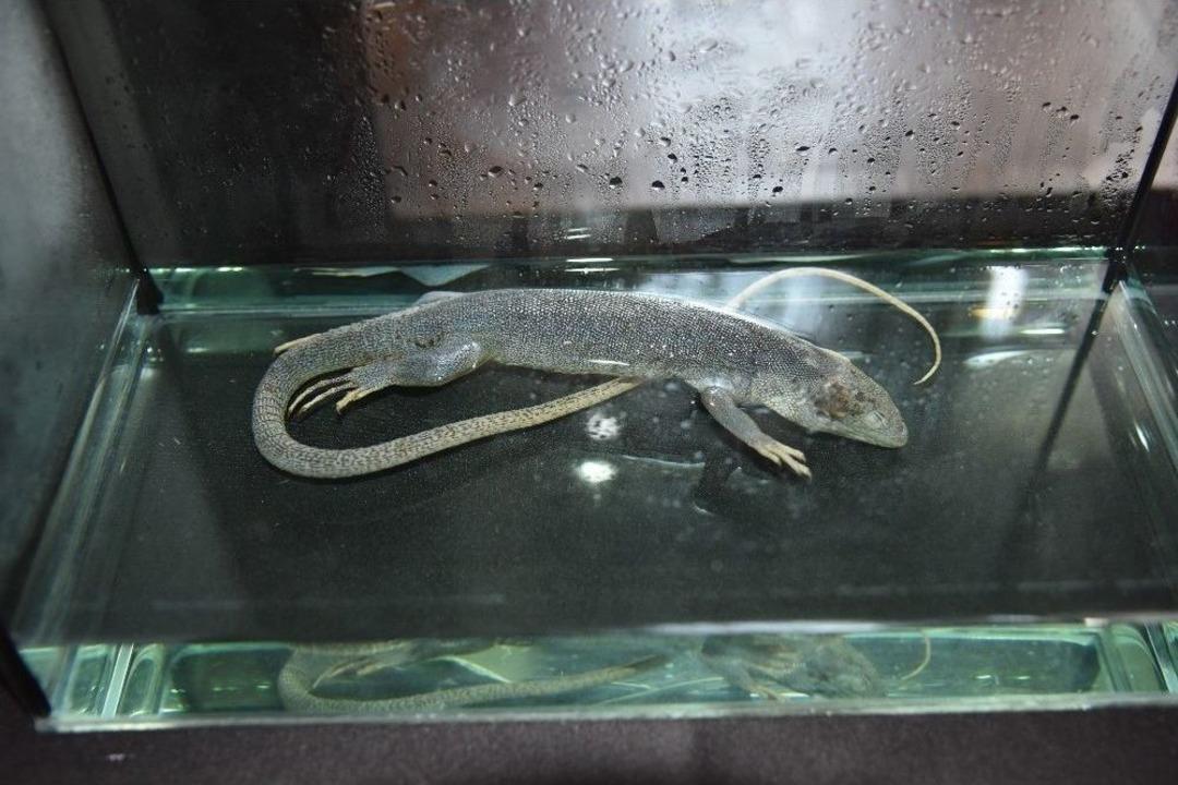 Herbaryum M&uuml;zesi&rsquo;ne 40 Bin Ziyaret&ccedil;i