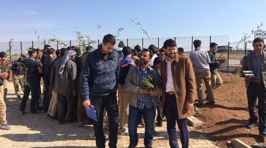 Toplantıya Katılanlara Bin Adet Fidan Dağıtıldı