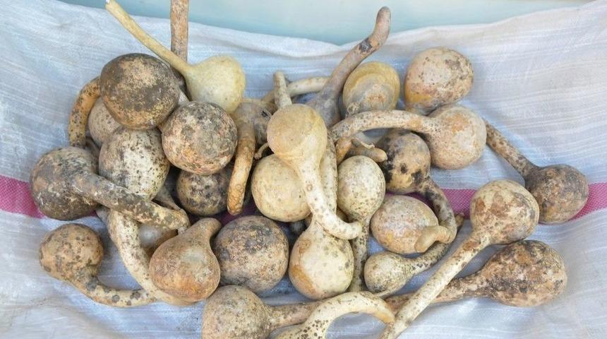 Trakya&rsquo;nın &rsquo;susak&rsquo;ı G&ouml;zden D&uuml;şt&uuml;