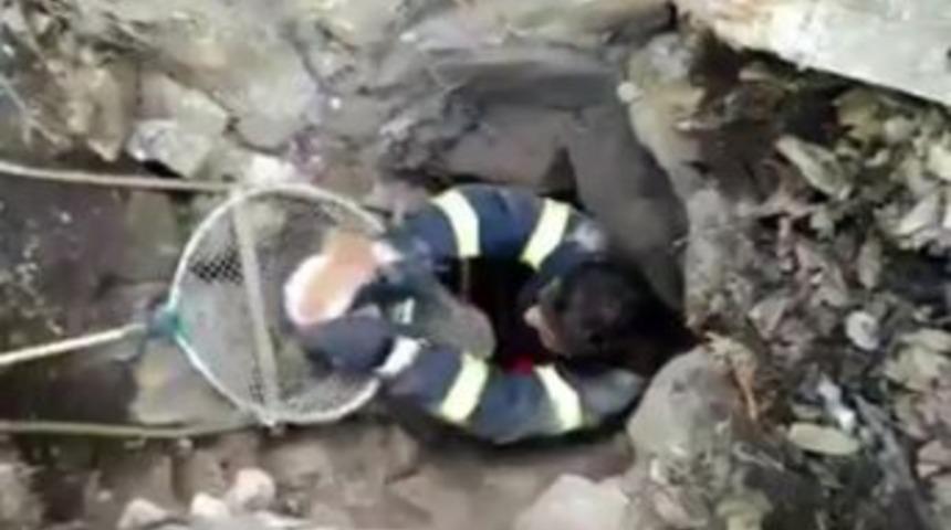 6 Metrelik Su Kuyusuna D&uuml;şen Kediyi, İtfaiye Kurtardı