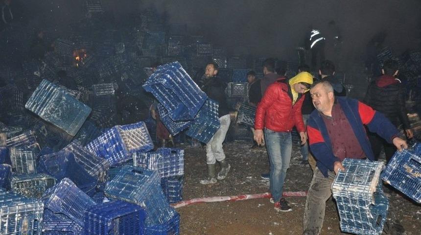 İneg&ouml;l&rsquo;deki Yangın Kundaklama &Ccedil;ıktı