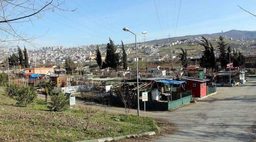 Hobi Bah&ccedil;esi Piknik Alanı Olacak