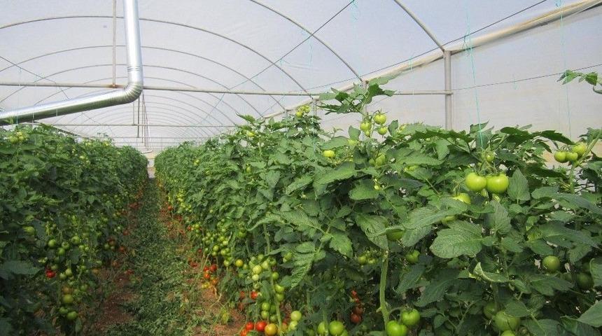 Orman Ve Su İşleri Bakanlığı Orman K&ouml;yl&uuml;lerine Desteğini S&uuml;rd&uuml;r&uuml;yor