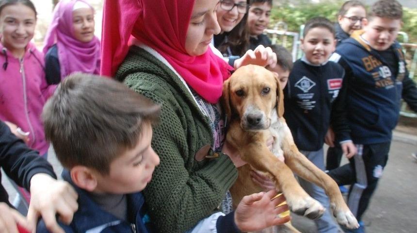 Okul Bah&ccedil;esine Giren Yavru K&ouml;pek İlgi Odağı Oldu