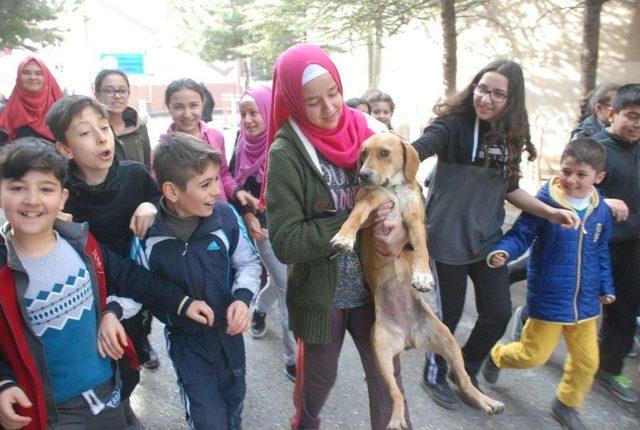 Okul Bahçesine Giren Yavru Köpek İlgi Odağı Oldu
