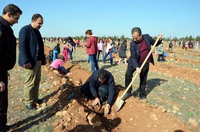 400 Minik Öğrenci Üniversiteye 10 Bin Fidan Dikti