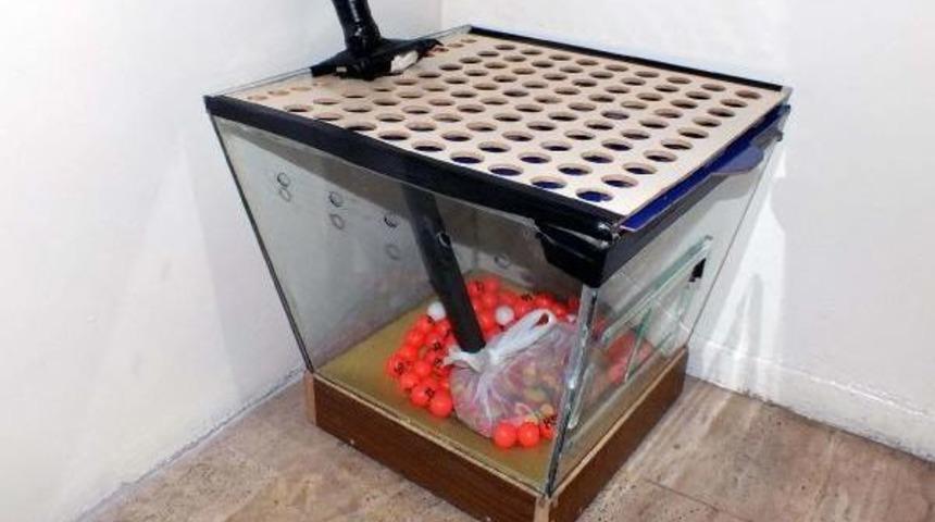 Kumar Baskınında 6 &Uuml;niversiteliye G&ouml;zaltı