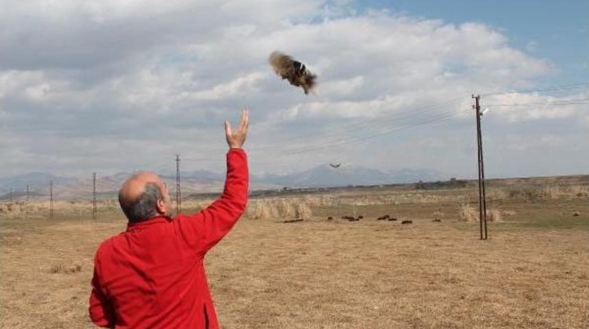 Tedavileri Tamamlanan Tura&ccedil; Kuşları Doğaya Bırakıldı