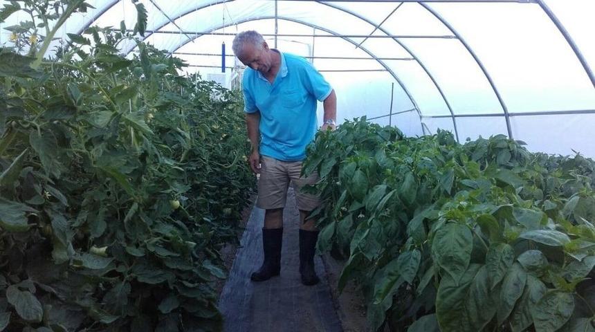 Tika&rsquo;nın Tarım Projeleri Karadağ&rsquo;da &Ccedil;ift&ccedil;ilerin Y&uuml;z&uuml;n&uuml; G&uuml;ld&uuml;rd&uuml;