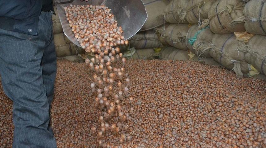 Fındık &Ccedil;akıldı 9,75 Tl