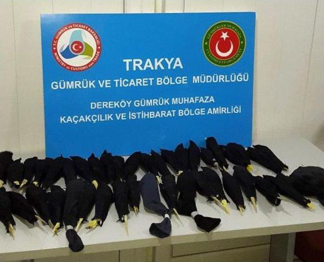 Türkiye'ye Kaçak Sokulmak Istenen 45 Papağan Ele Geçirildi