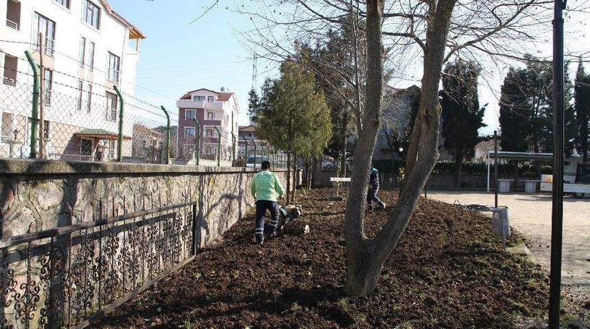 Başiskele’de Camilere Peyzaj Çalışması
