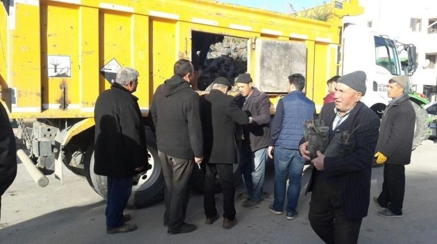 Altunhisar&rsquo;da Vatandaşlara Ceviz Fidanı Dağıtıldı